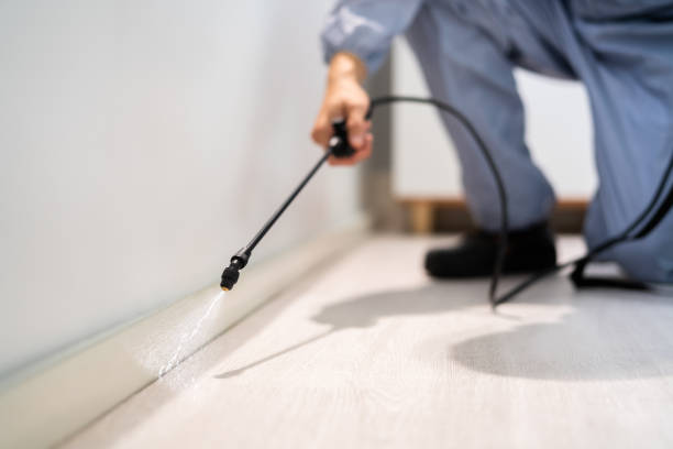 Licensed Cockroach Control service in Lutz, FL - Nex Pest Control