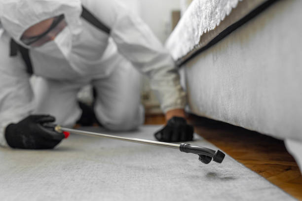 Professional Cockroach Control technician working in Lutz, FL