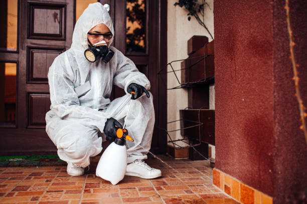 Reliable Cockroach Control contractor in Lutz, FL by Nex Pest Control